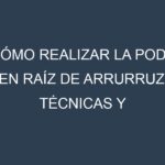 Cómo Realizar la Poda en Raíz de arrurruz. Técnicas y Poda de formación.