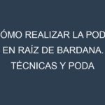 Cómo Realizar la Poda en Raíz de bardana. Técnicas y Poda de formación.
