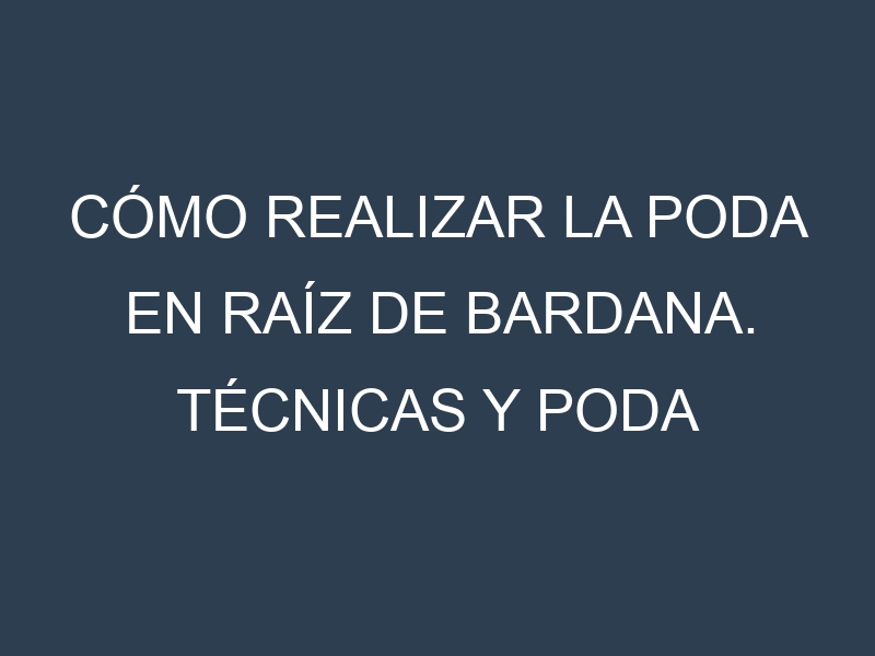 Cómo Realizar la Poda en Raíz de bardana. Técnicas y Poda de formación.
