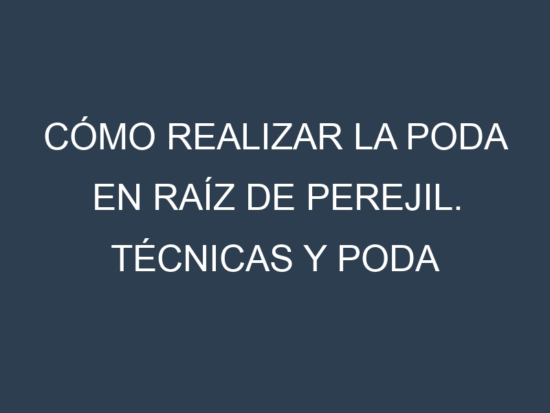Cómo Realizar la Poda en Raíz de perejil. Técnicas y Poda de formación.