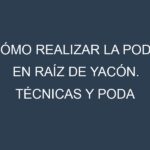 Cómo Realizar la Poda en Raíz de yacón. Técnicas y Poda de formación.