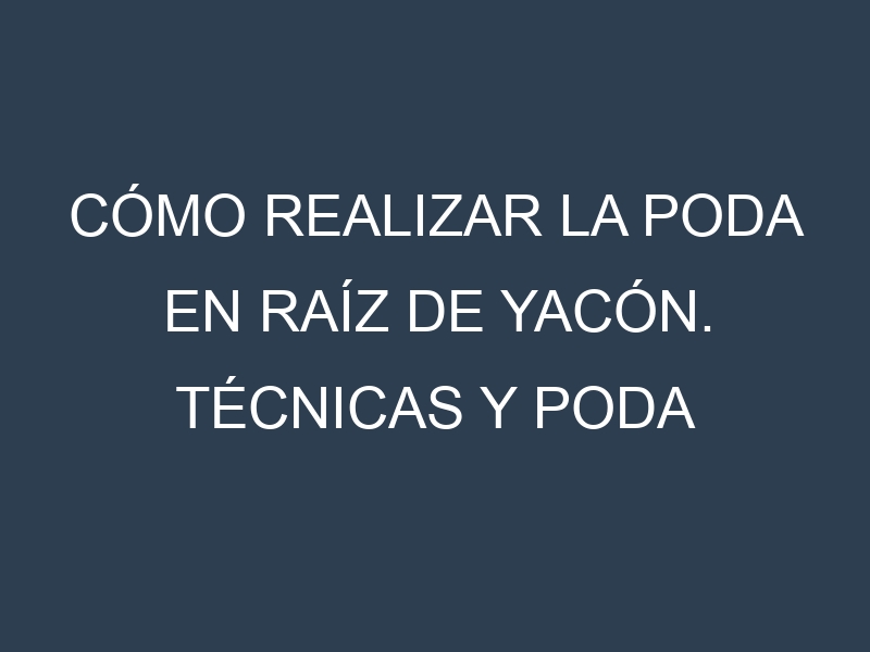 Cómo Realizar la Poda en Raíz de yacón. Técnicas y Poda de formación.