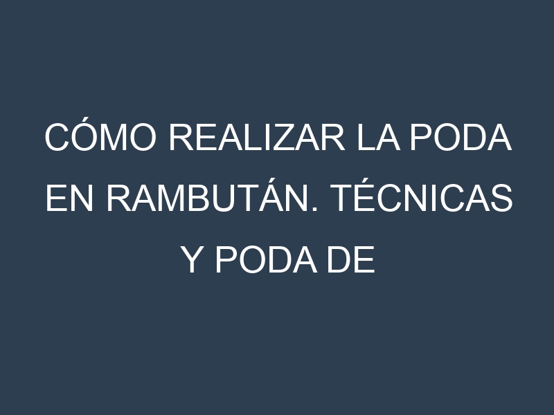 Cómo Realizar la Poda en Rambután. Técnicas y Poda de formación.