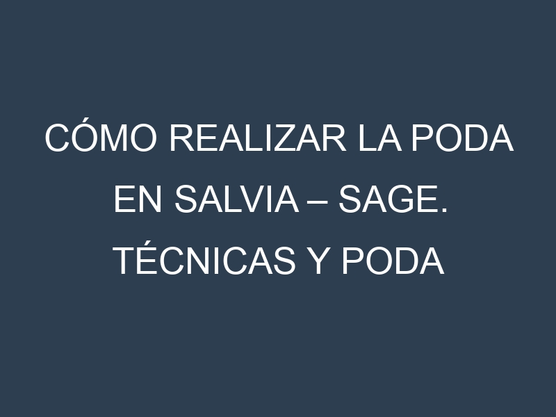 Cómo Realizar la Poda en Salvia – Sage. Técnicas y Poda de formación.