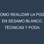 Cómo Realizar la Poda en Sésamo blanco. Técnicas y Poda de formación.