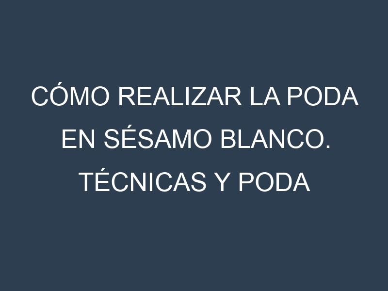 Cómo Realizar la Poda en Sésamo blanco. Técnicas y Poda de formación.