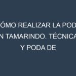 Cómo Realizar la Poda en Tamarindo. Técnicas y Poda de formación.
