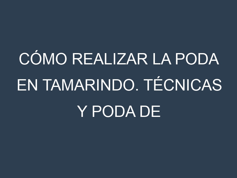 Cómo Realizar la Poda en Tamarindo. Técnicas y Poda de formación.