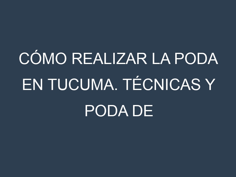 Cómo Realizar la Poda en Tucuma. Técnicas y Poda de formación.