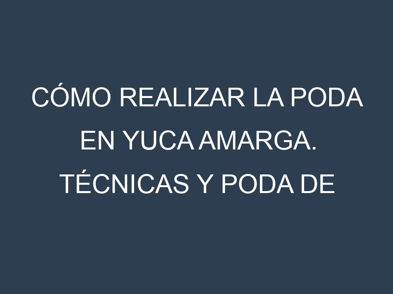 Cómo Realizar la Poda en Yuca amarga. Técnicas y Poda de formación.