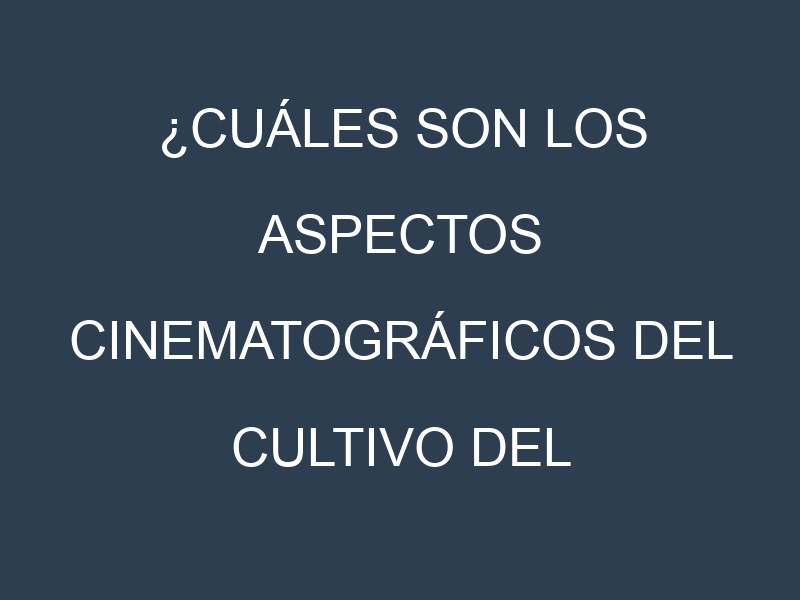 ¿Cuáles son los aspectos cinematográficos del cultivo del olivo?