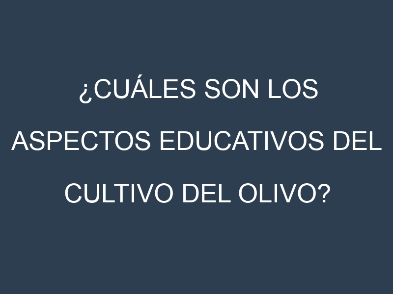 ¿Cuáles son los aspectos educativos del cultivo del olivo?