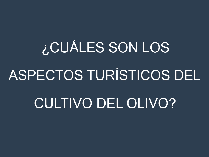 ¿Cuáles son los aspectos turísticos del cultivo del olivo?