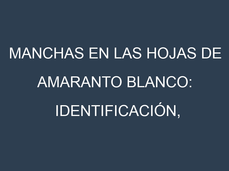 Manchas en las hojas de Amaranto blanco: Identificación, Causas y Estrategias de Control Efectivo