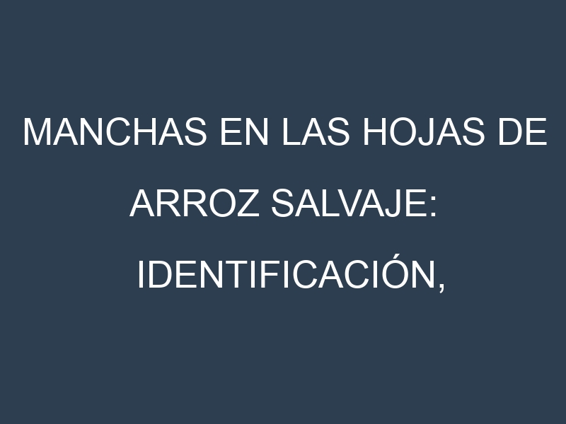 Manchas en las hojas de Arroz salvaje: Identificación, Causas y Estrategias de Control Efectivo