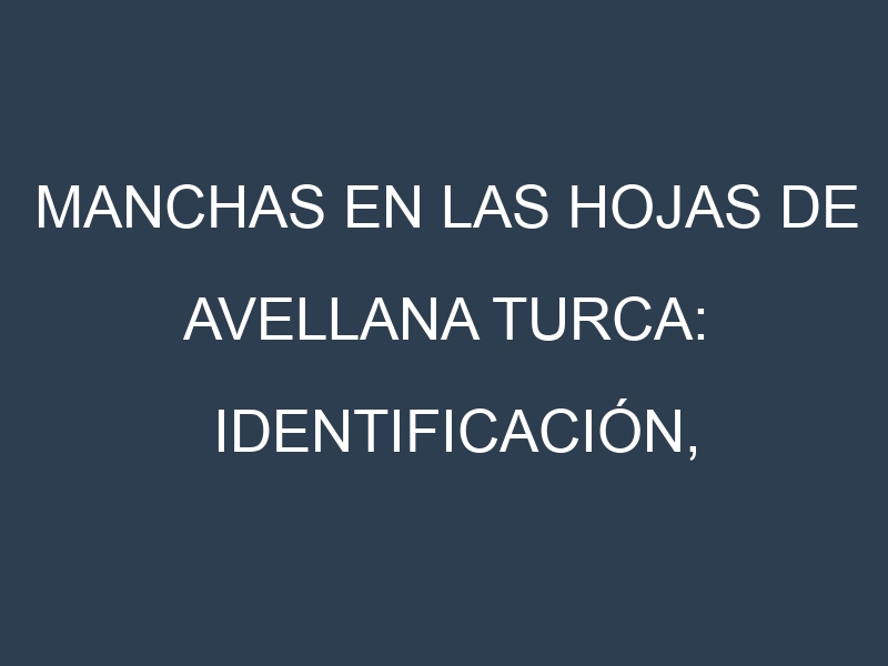 Manchas en las hojas de Avellana turca: Identificación, Causas y Estrategias de Control Efectivo