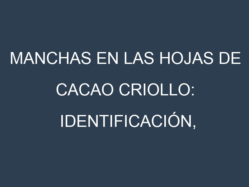 Manchas en las hojas de Cacao criollo: Identificación, Causas y Estrategias de Control Efectivo