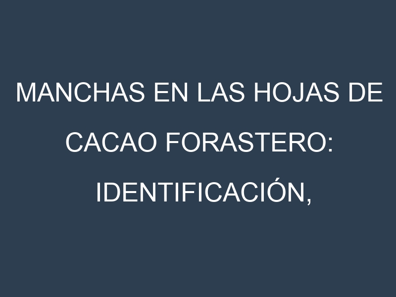 Manchas en las hojas de Cacao forastero: Identificación, Causas y Estrategias de Control Efectivo