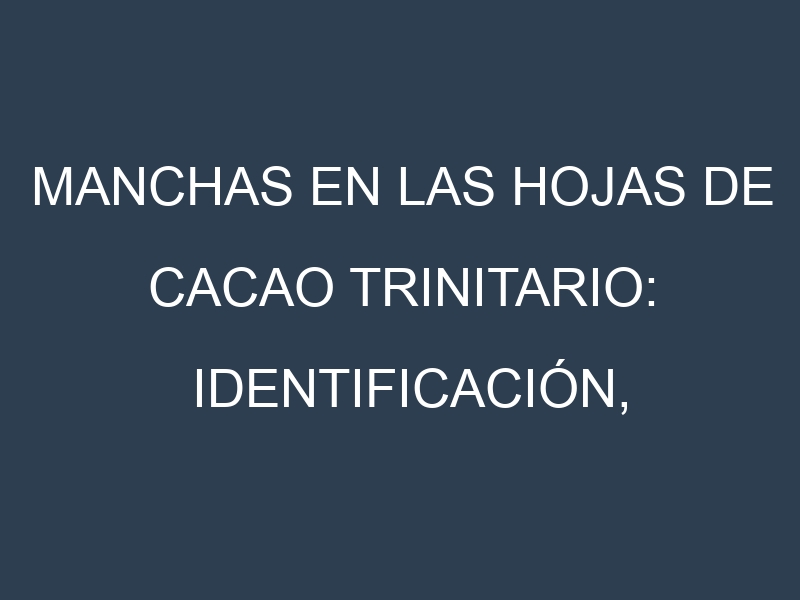 Manchas en las hojas de Cacao trinitario: Identificación, Causas y Estrategias de Control Efectivo