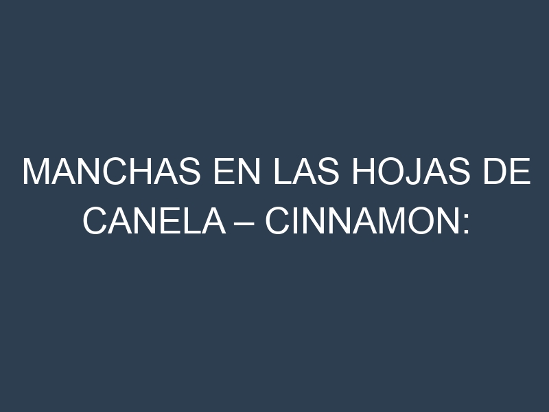 Manchas en las hojas de Canela – Cinnamon: Identificación, Causas y Estrategias de Control Efectivo