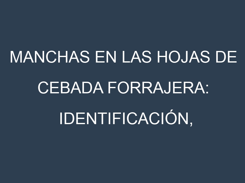 Manchas en las hojas de Cebada forrajera: Identificación, Causas y Estrategias de Control Efectivo