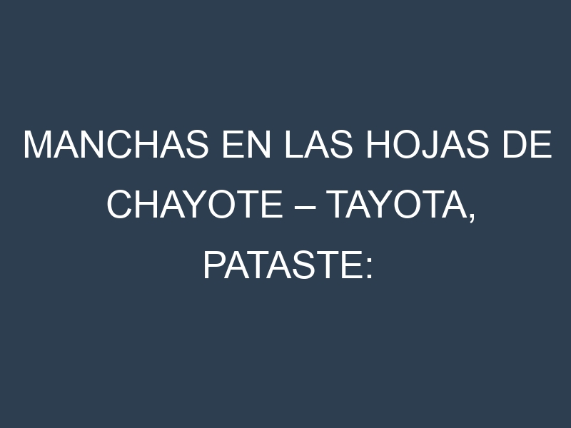 Manchas en las hojas de Chayote – Tayota, Pataste: Identificación, Causas y Estrategias de Control Efectivo