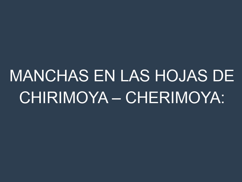 Manchas en las hojas de Chirimoya – Cherimoya: Identificación, Causas y Estrategias de Control Efectivo