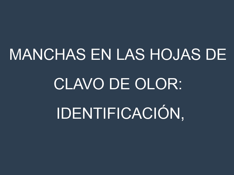 Manchas en las hojas de Clavo de olor: Identificación, Causas y Estrategias de Control Efectivo