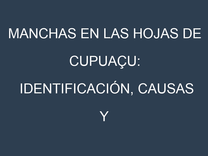 Manchas en las hojas de Cupuaçu: Identificación, Causas y Estrategias de Control Efectivo