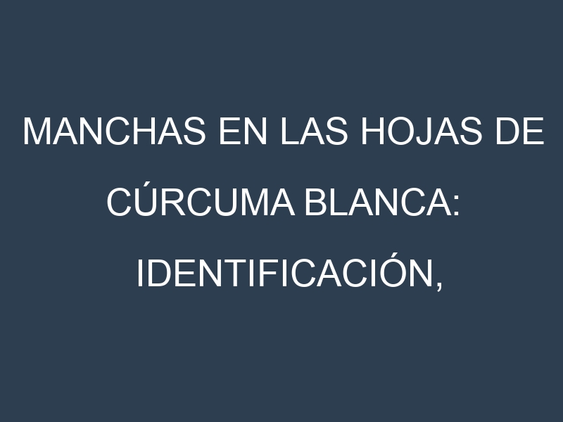Manchas en las hojas de Cúrcuma blanca: Identificación, Causas y Estrategias de Control Efectivo