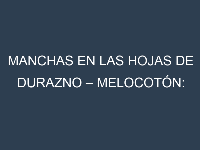 Manchas en las hojas de Durazno – Melocotón: Identificación, Causas y Estrategias de Control Efectivo