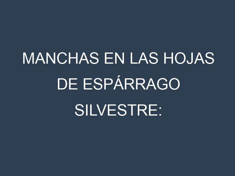 Manchas en las hojas de Espárrago silvestre: Identificación, Causas y Estrategias de Control Efectivo