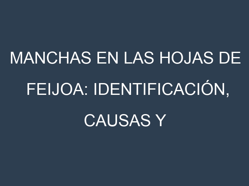 Manchas en las hojas de Feijoa: Identificación, Causas y Estrategias de Control Efectivo