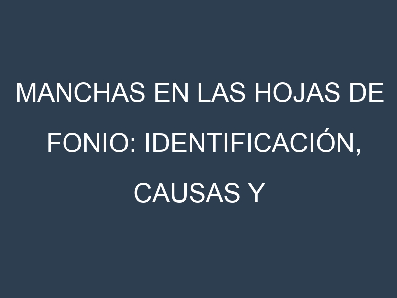 Manchas en las hojas de Fonio: Identificación, Causas y Estrategias de Control Efectivo