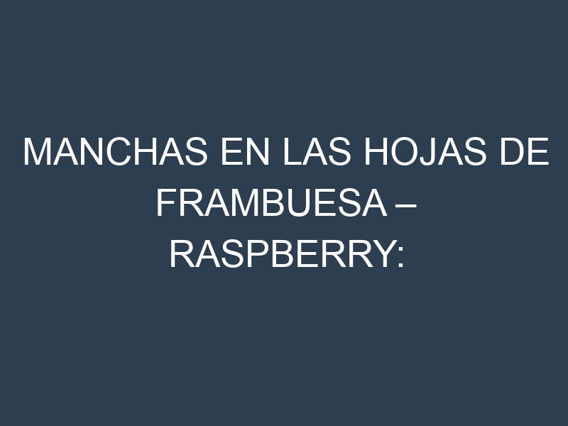 Manchas en las hojas de Frambuesa – Raspberry: Identificación, Causas y Estrategias de Control Efectivo