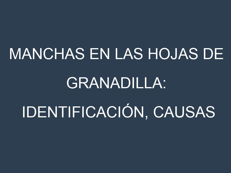 Manchas en las hojas de Granadilla: Identificación, Causas y Estrategias de Control Efectivo