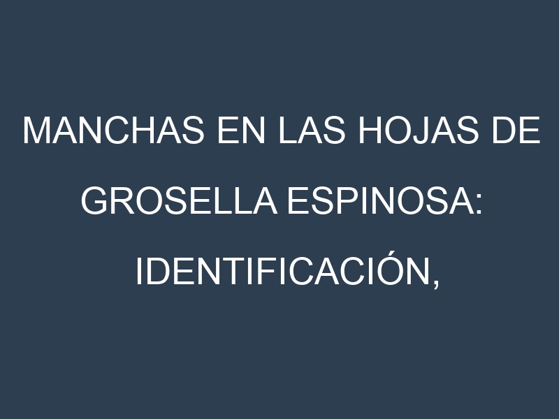 Manchas en las hojas de Grosella espinosa: Identificación, Causas y Estrategias de Control Efectivo