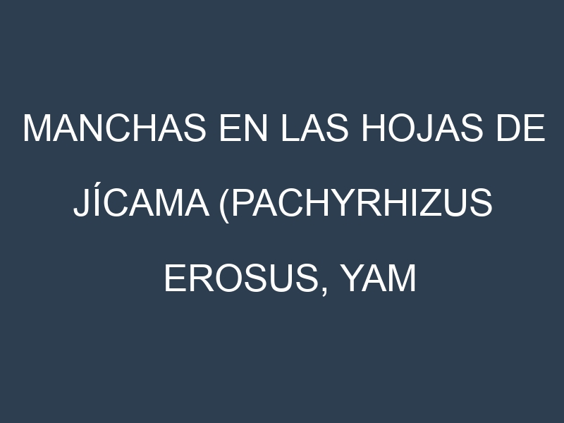 Manchas en las hojas de Jícama (Pachyrhizus erosus, yam bean): Identificación, Causas y Estrategias de Control Efectivo
