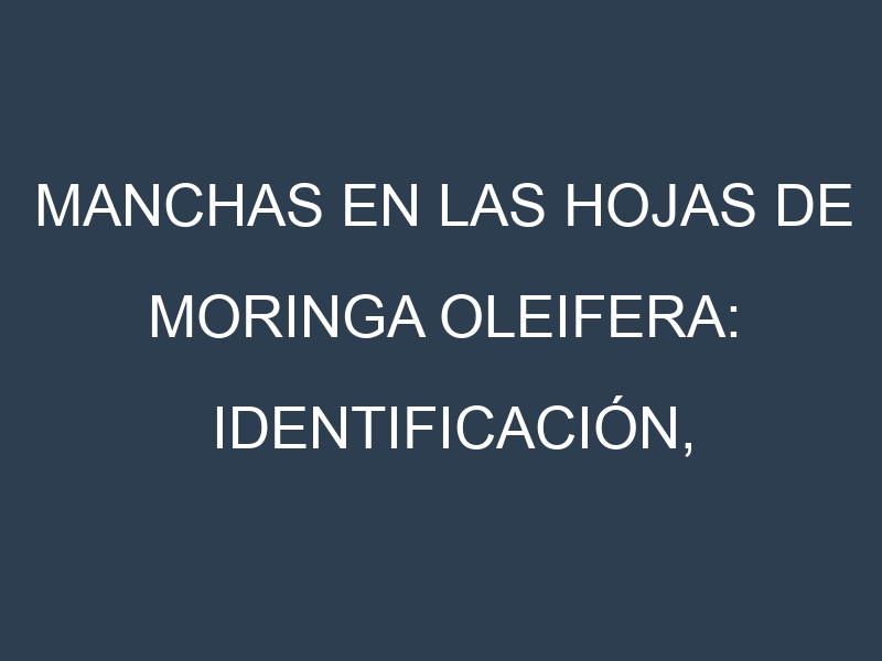 Manchas en las hojas de Moringa oleifera: Identificación, Causas y Estrategias de Control Efectivo