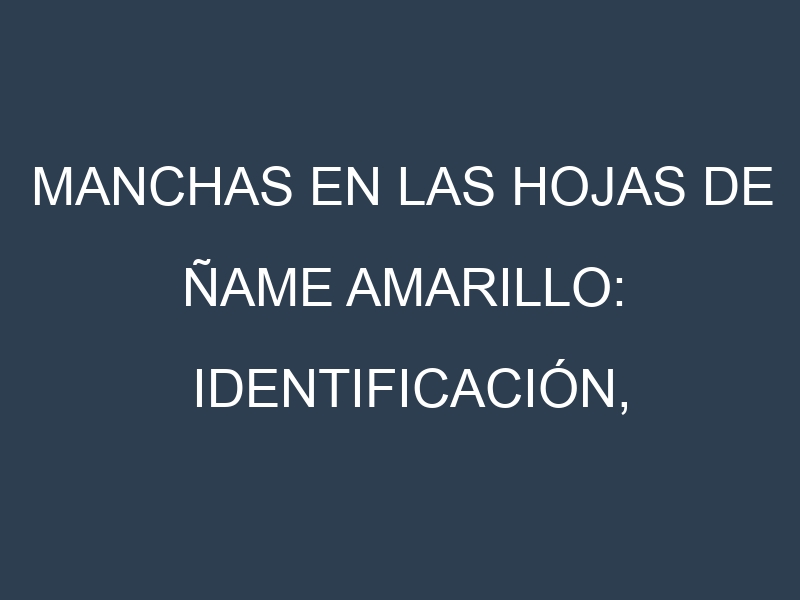 Manchas en las hojas de Ñame amarillo: Identificación, Causas y Estrategias de Control Efectivo