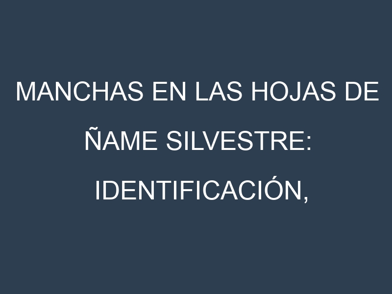 Manchas en las hojas de Ñame silvestre: Identificación, Causas y Estrategias de Control Efectivo