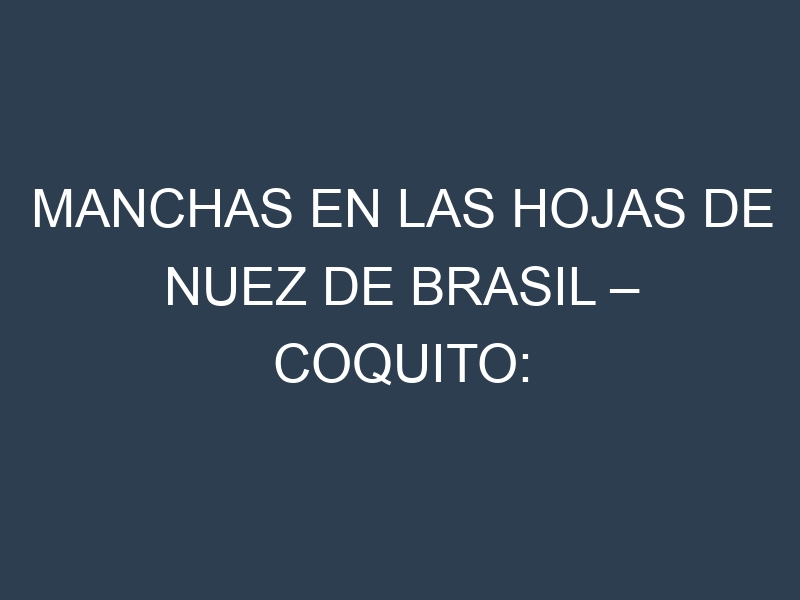 Manchas en las hojas de Nuez de Brasil – Coquito: Identificación, Causas y Estrategias de Control Efectivo