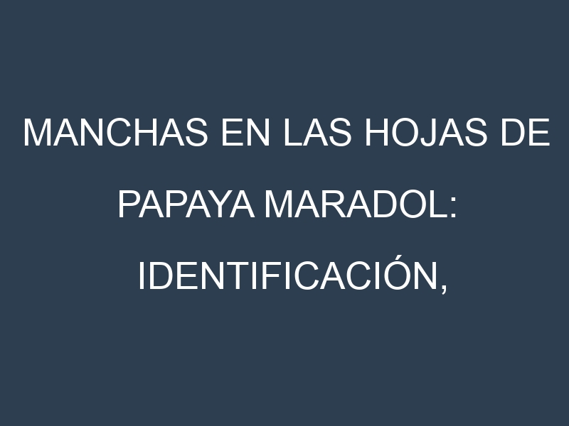 Manchas en las hojas de Papaya maradol: Identificación, Causas y Estrategias de Control Efectivo