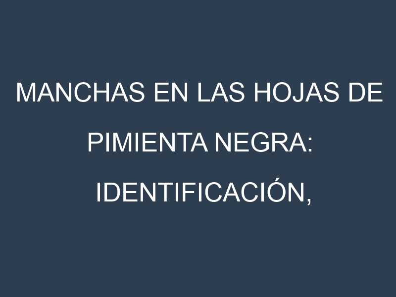 Manchas en las hojas de Pimienta negra: Identificación, Causas y Estrategias de Control Efectivo