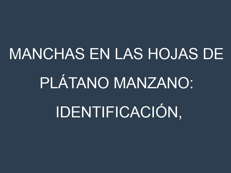 Manchas en las hojas de Plátano Manzano: Identificación, Causas y Estrategias de Control Efectivo