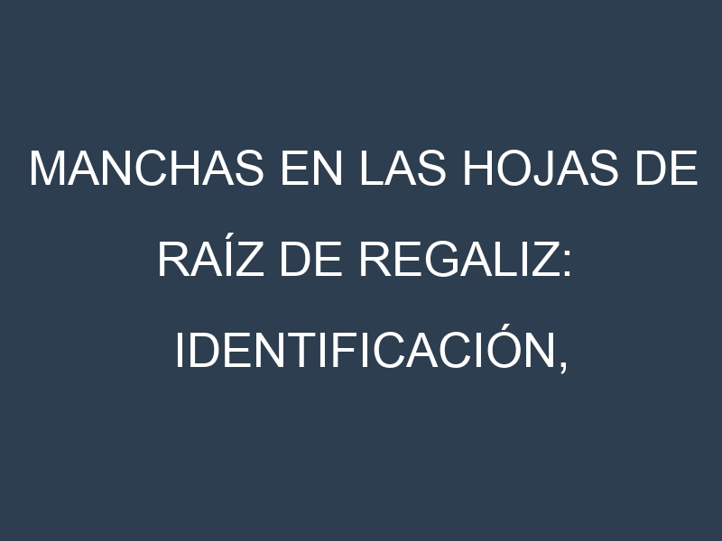 Manchas en las hojas de Raíz de regaliz: Identificación, Causas y Estrategias de Control Efectivo