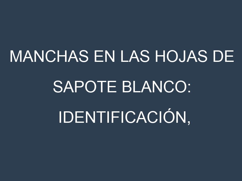 Manchas en las hojas de Sapote blanco: Identificación, Causas y Estrategias de Control Efectivo