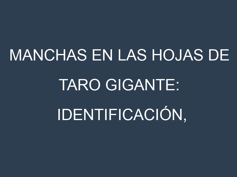 Manchas en las hojas de Taro gigante: Identificación, Causas y Estrategias de Control Efectivo