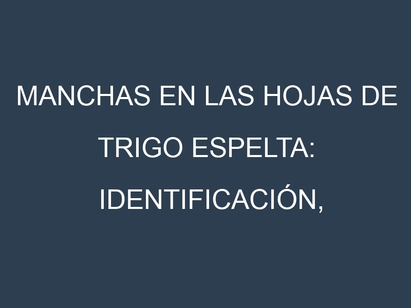 Manchas en las hojas de Trigo espelta: Identificación, Causas y Estrategias de Control Efectivo
