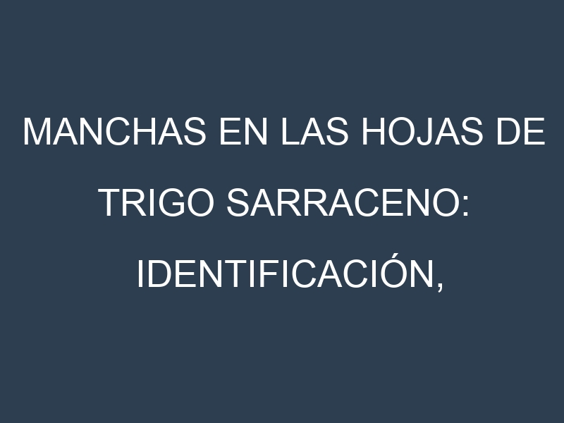 Manchas en las hojas de Trigo sarraceno: Identificación, Causas y Estrategias de Control Efectivo